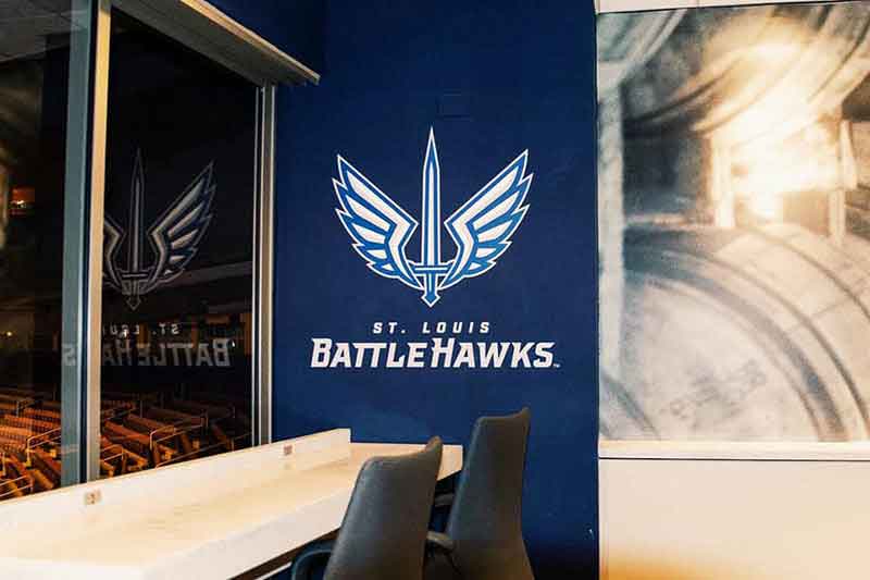 Battlehawks Wall Mural