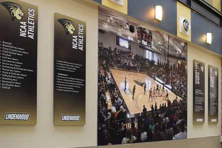 Lindenwood University Graphics